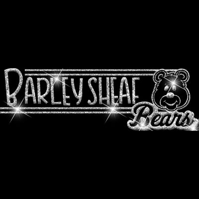 GLT101 SILVER GLITTER Thumbnail